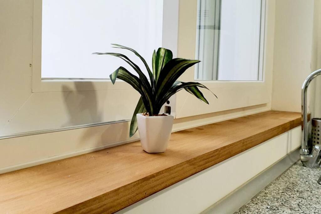 Suite By Hawkins Interior Ba Apartment